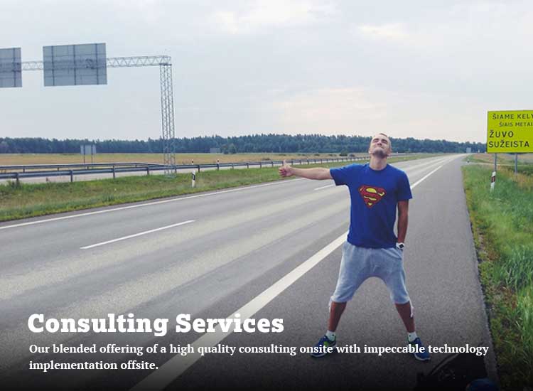 Consulting Services